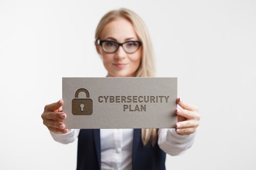 Develop your cybersecurity plan with Fragglestorm™